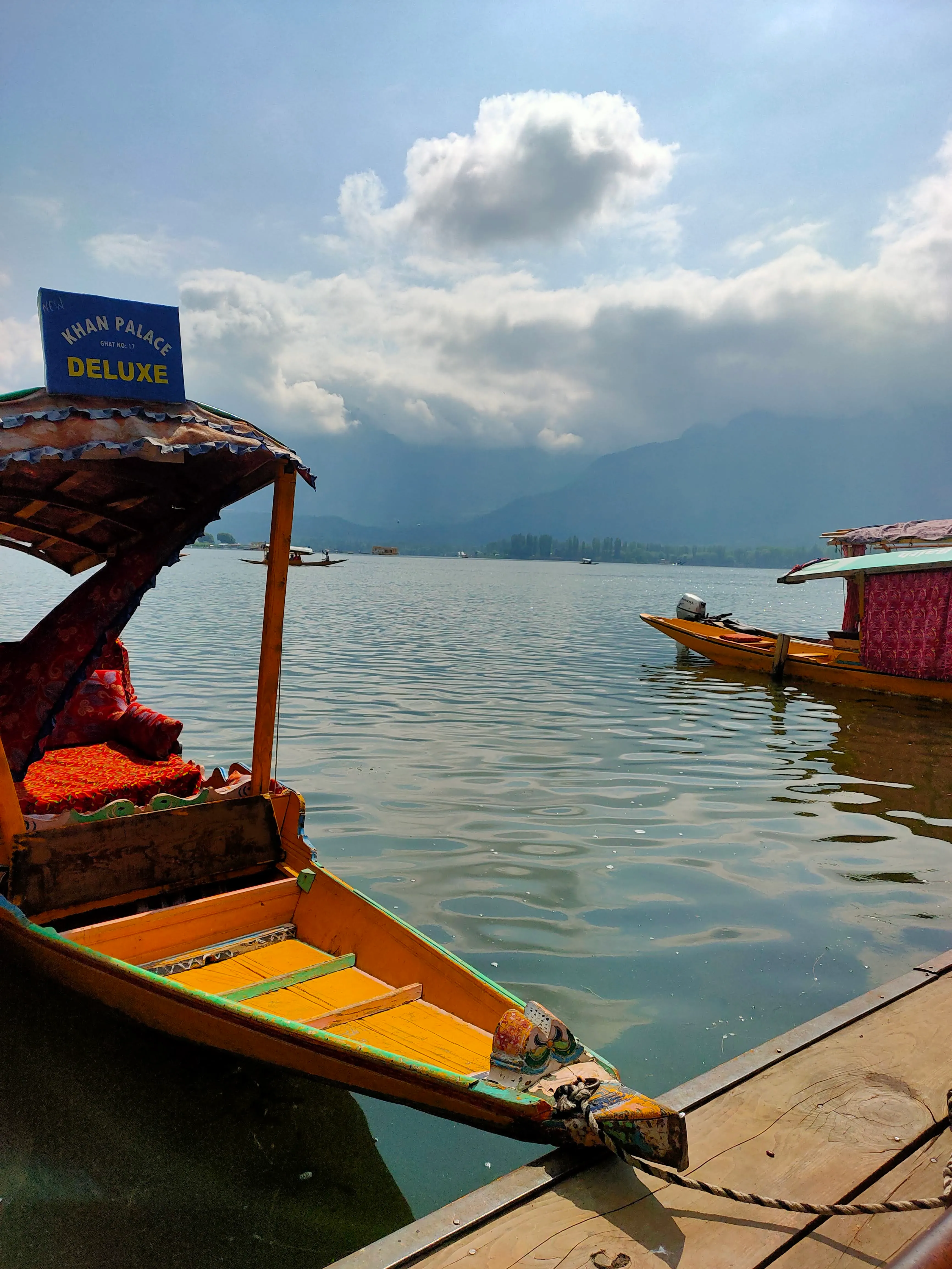 Colourful scene in Kashmir
